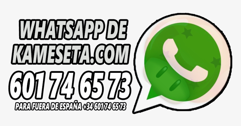 0 - Snail, transparent png