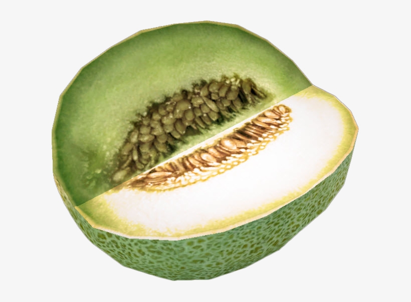 Dead Rising Melon - My Personal Diet Journal & Food Diary Set Goals, transparent png