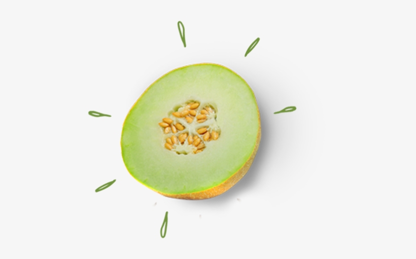 Honeymoon - Melon, transparent png
