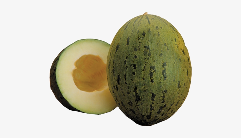 Piel De Sapo - Santa Claus Melon, transparent png