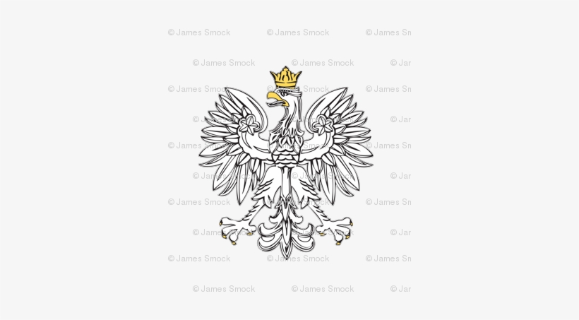 Polish Eagle With Gold Crown - Poland Coat Of Arms Vector, transparent png