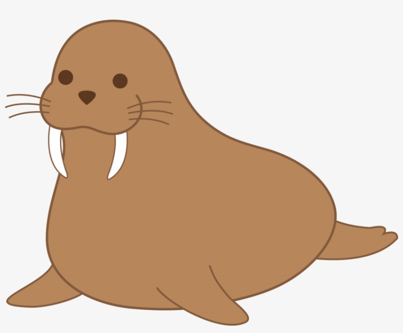 Free Png Walrus Png Images Transparent - Walrus Clipart, transparent png