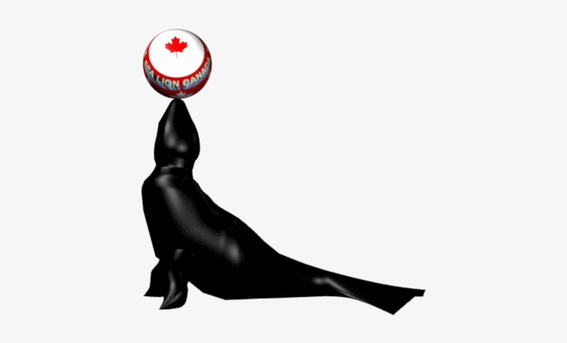 Laveuses Et Sécheuses - Laundry Room, transparent png