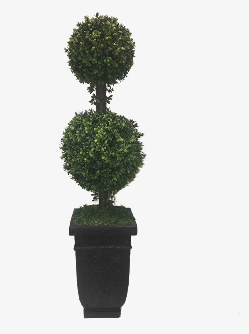 Topiary Hedge Shrub Bush Plant Freetoedit - Trees N Trends, transparent png