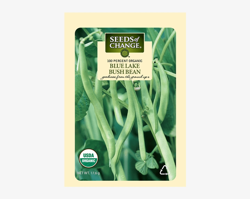 Organic Blue Lake Bush Bean Seeds - Tiger's Eye Bean Plant, transparent png