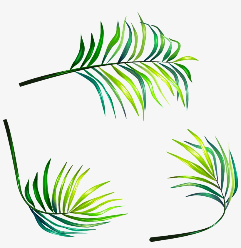 Leaves Leaf Nature Watercolors Watercolor Watercolours - Painted Leaves Clip Art, transparent png
