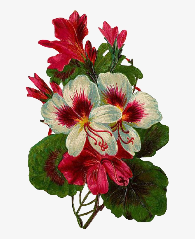 Leaves Png Green Kpopedit Edits Edit Overlay Flower - Congratulation Flowers, transparent png
