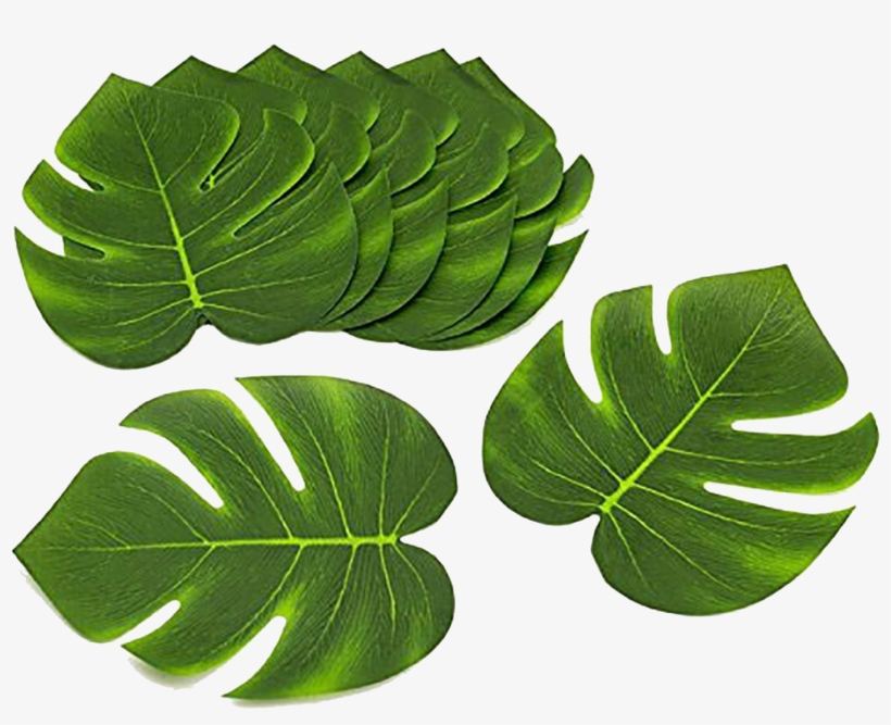 Hawaiian Party Decorations, transparent png