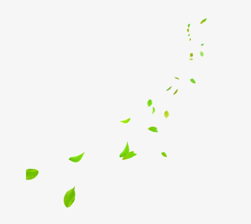 Falling Green Leaves Png Photo - Insect, transparent png