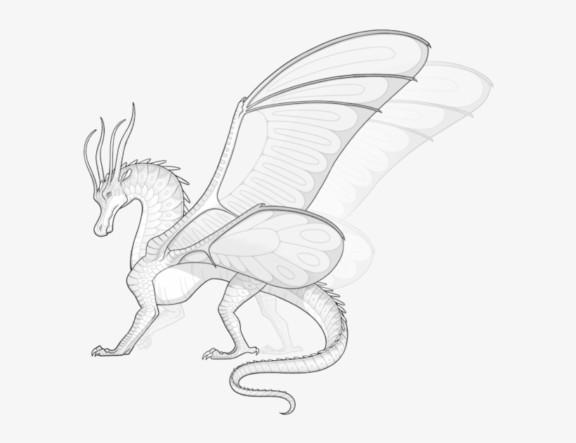 Vector Royalty Free Library Albatross Drawing Tribal - Wings Of Fire Silkwings, transparent png