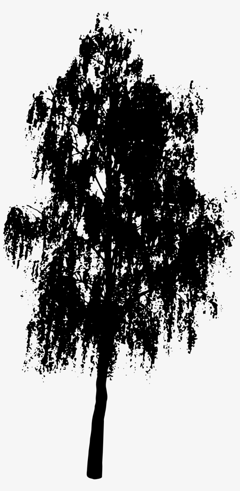 Black Silhouette Of A Birch Tree - Oak Tree Silhouette Png, transparent png