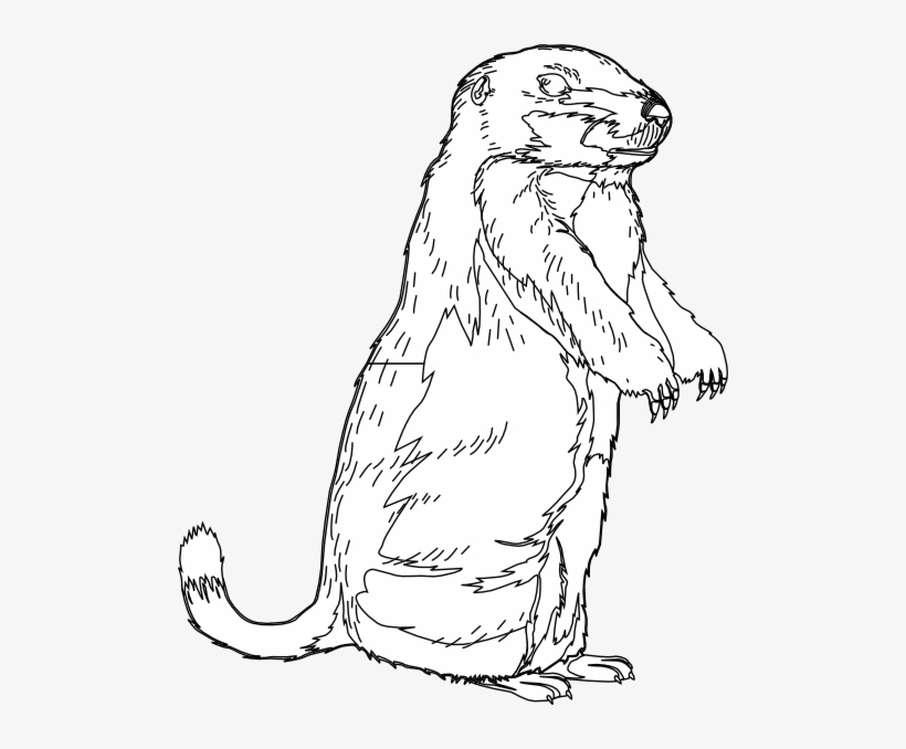 Small - Clip Art, transparent png