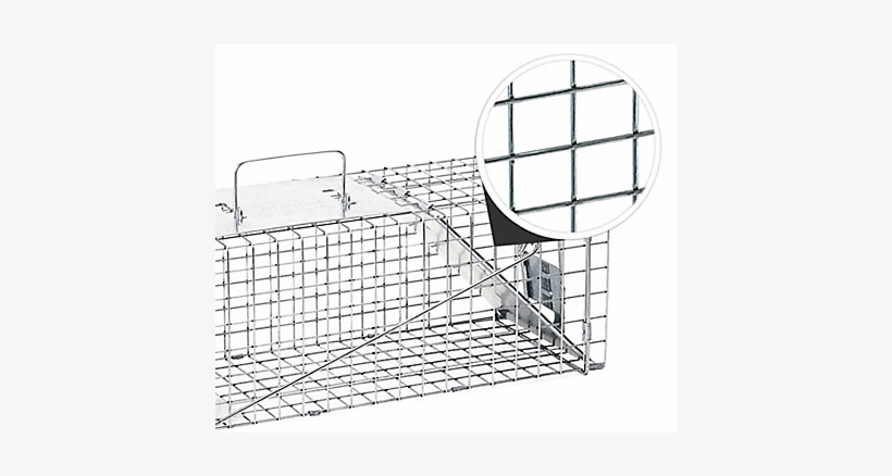 Raccoon & Groundhog Trap - Sketch, transparent png