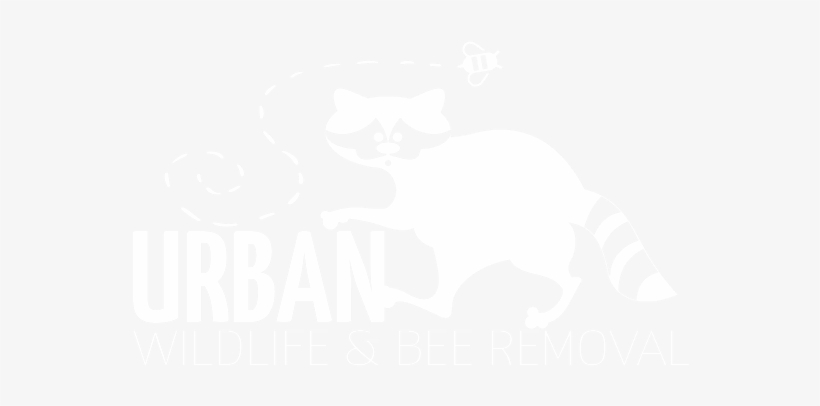 Groundhog Removal - North Carolina, transparent png