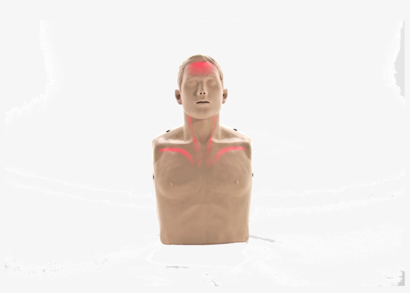 Bigred™ Cpr Manikin With Led Light Cpr Feedback - Transparent Anatomical Manikin, transparent png