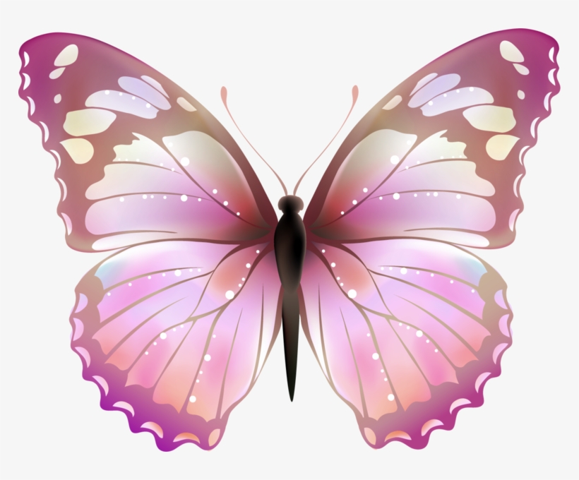 Share This Image - Borboletas Png, transparent png