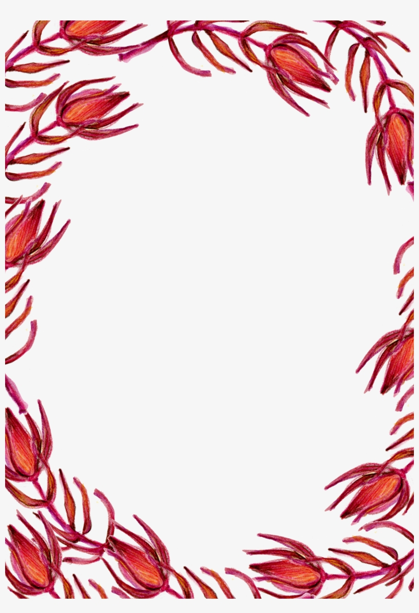 Red Flower Clip Art - Border Design Red Flower, transparent png