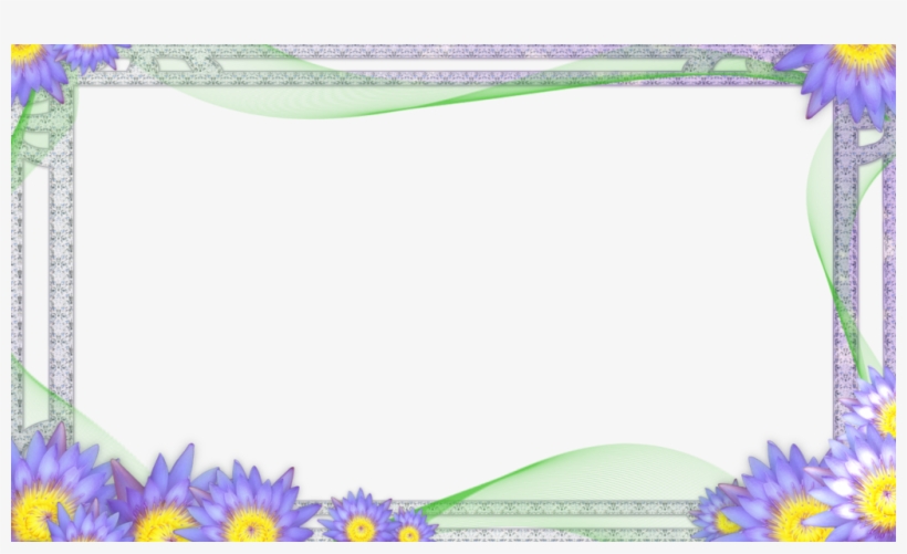 1024 X 576 16 - African Daisy, transparent png