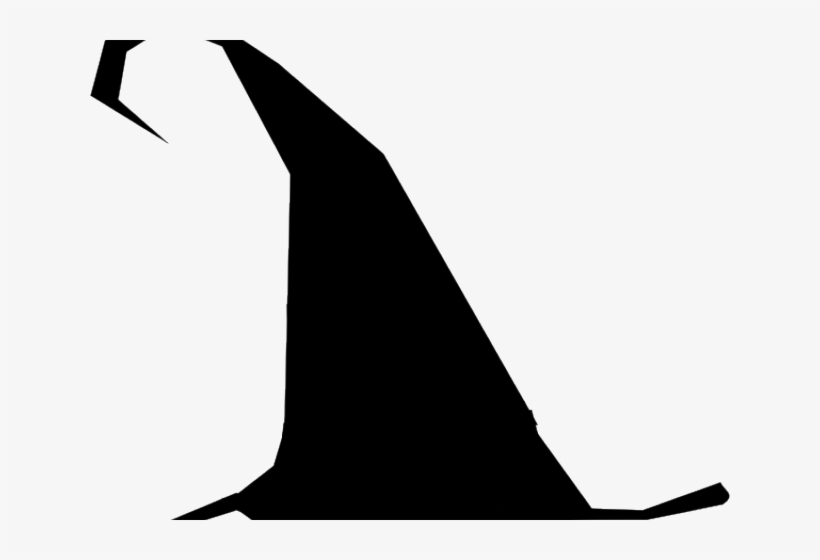 Which Hat Vector, transparent png