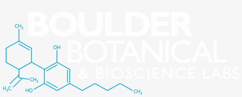 1150 Catamount Dr Golden, Co - Poster, transparent png