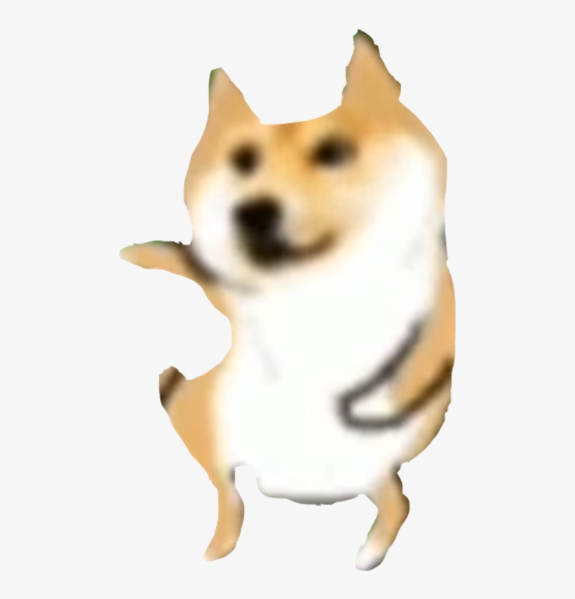 Companion Dog, transparent png