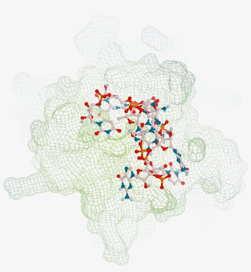 59 83m My Poster - Needlework, transparent png