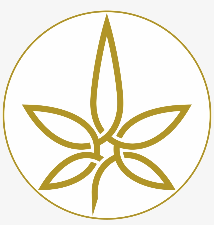 Circle, transparent png