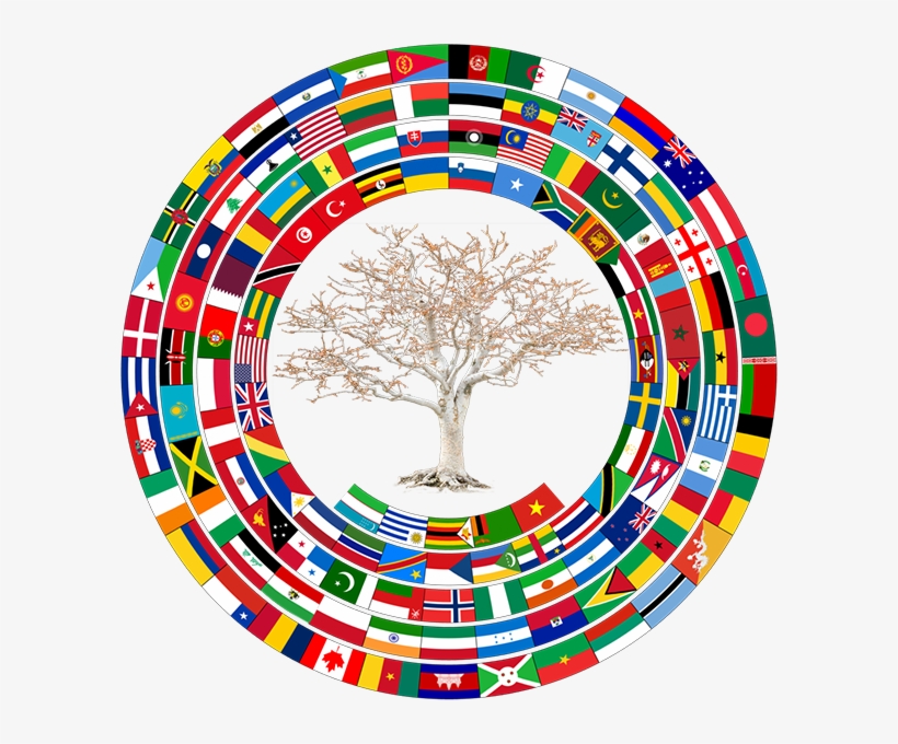 B91617 - Circle, transparent png