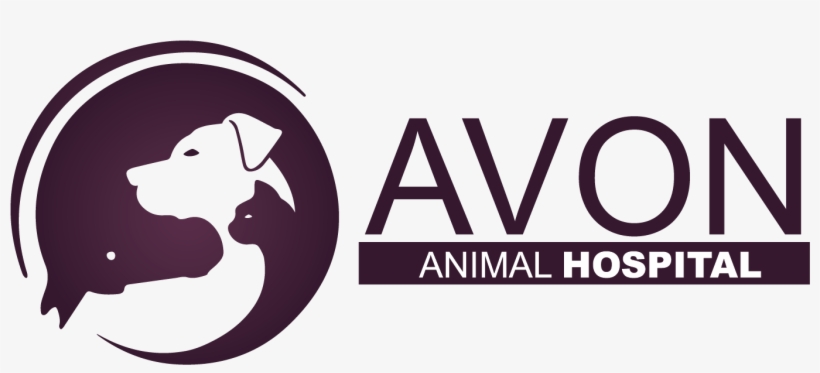 Career Opportunity - Vca Animal Hospitals, transparent png
