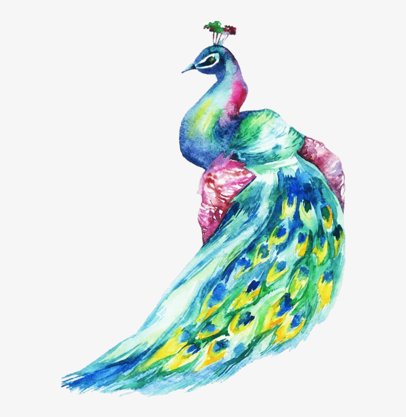 Photos Of A Peacock - Watercolor Peacock, transparent png