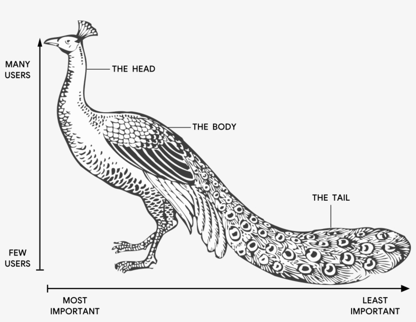 Illustration Of A Peacock With The Head The Body Merak Putih