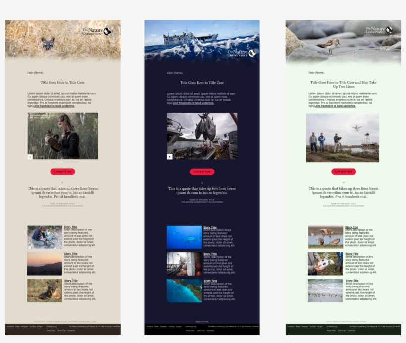 Email Template Design - Online Advertising, transparent png