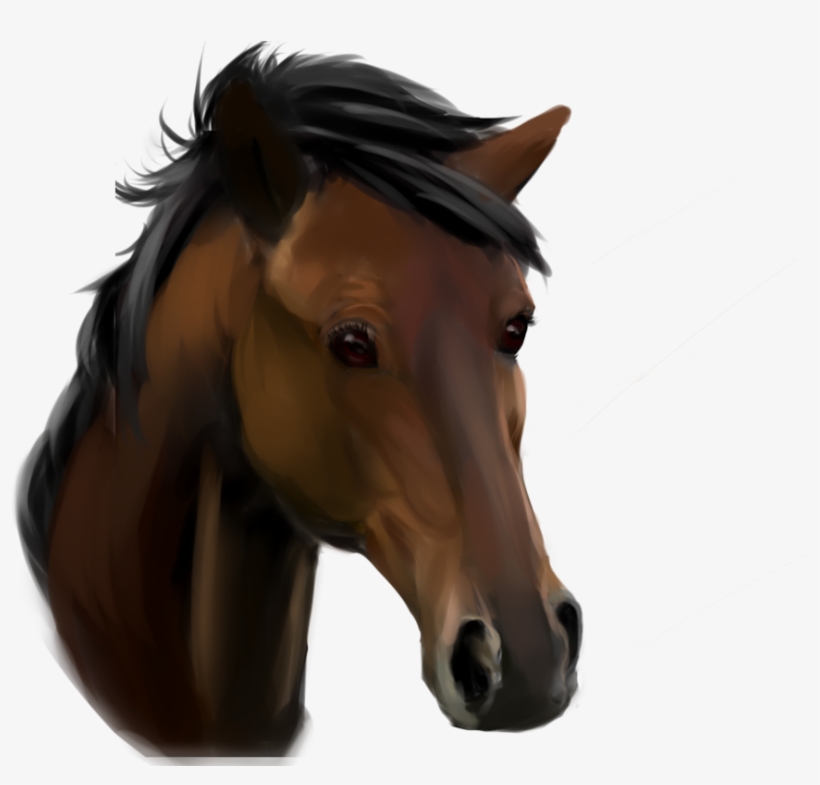 Horse Face Png - Sorrel, transparent png