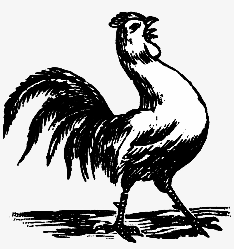 Rooster Crowing Black And White Drawings, transparent png