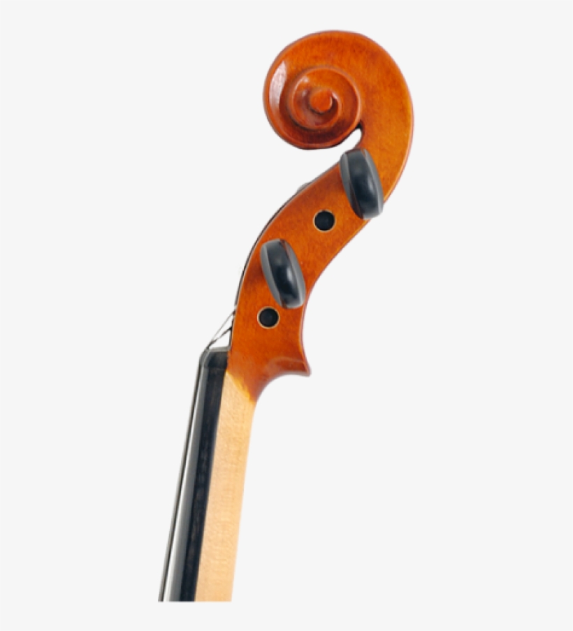 Viola, transparent png
