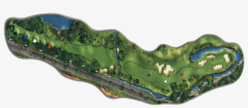 Layout - Grass, transparent png