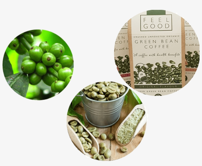 Free Png Download Green Coffee Beans Banner Png Images - Coffee Beans Green Banner, transparent png