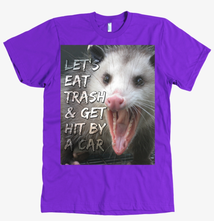 Lgfuapd Opossum, transparent png