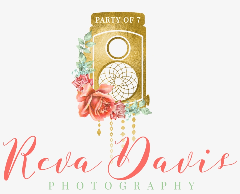 Party Of Seven Photography By Reva Davis, transparent png