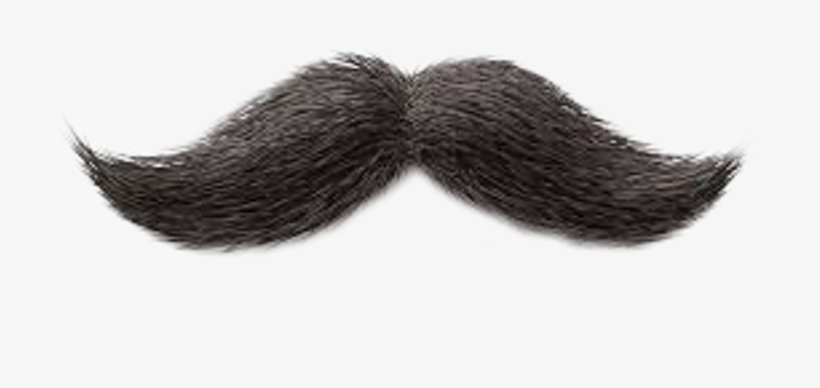 Lace Wig, transparent png