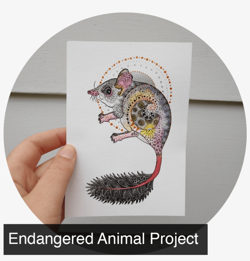 Blog - Kangaroo Rat, transparent png