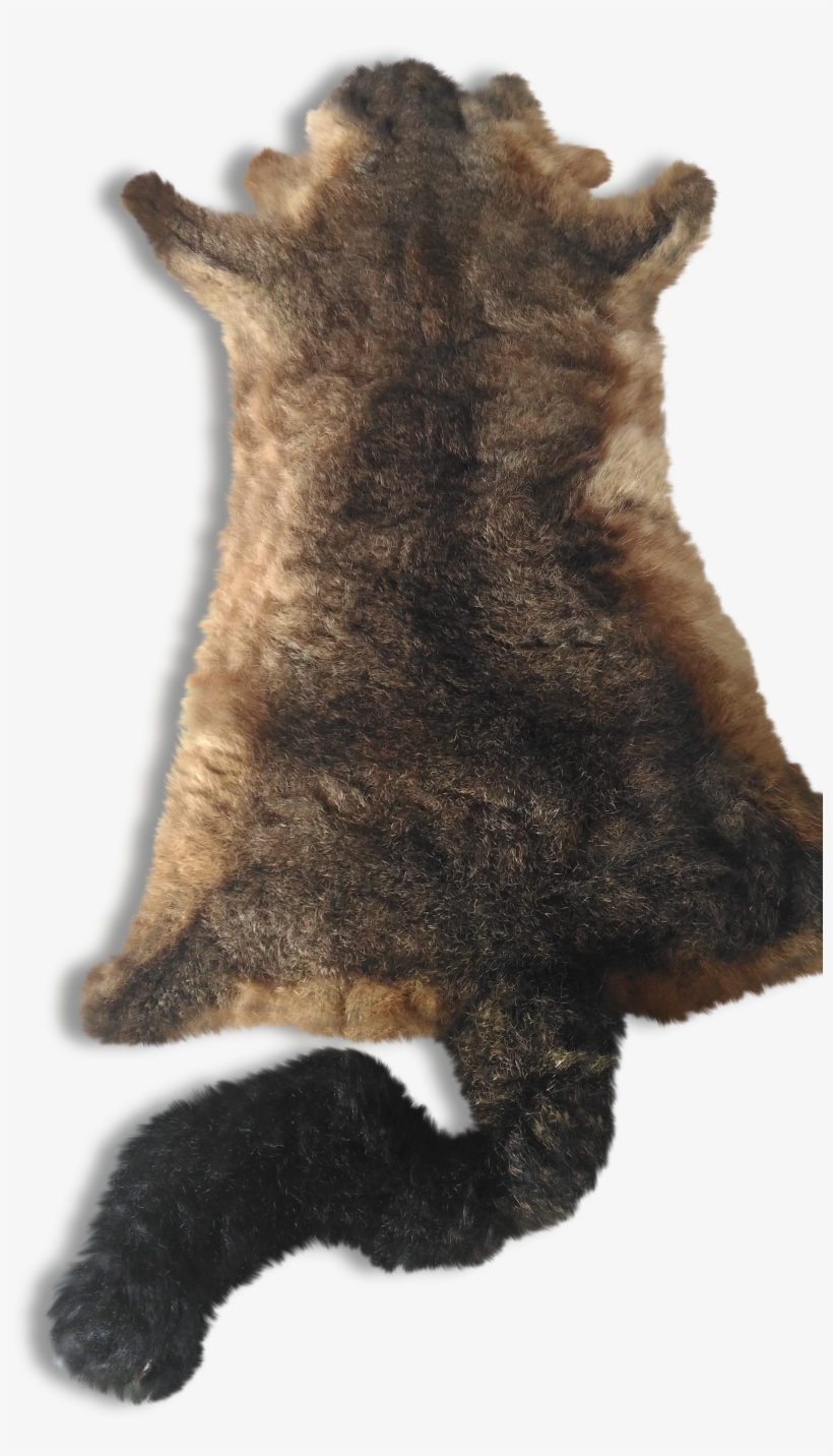 Paw, transparent png