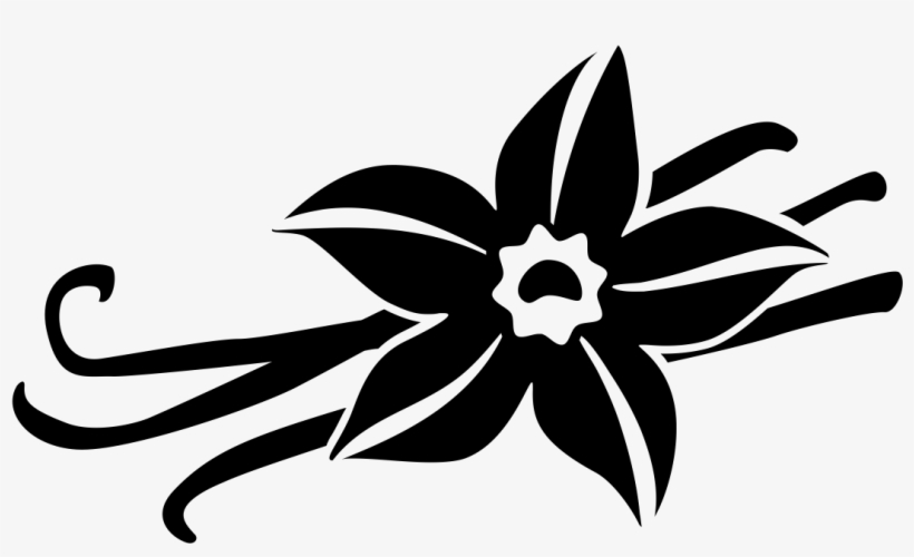 Vanilla By Laymik For The Noun Project - Vanilla Flower Black And White Png Free, transparent png