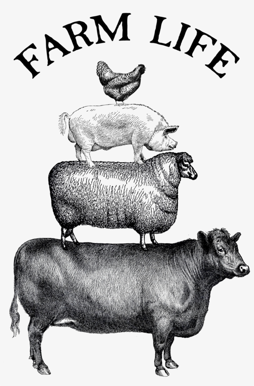 Farmanimals - Black And White Farm Animal Printables, transparent png