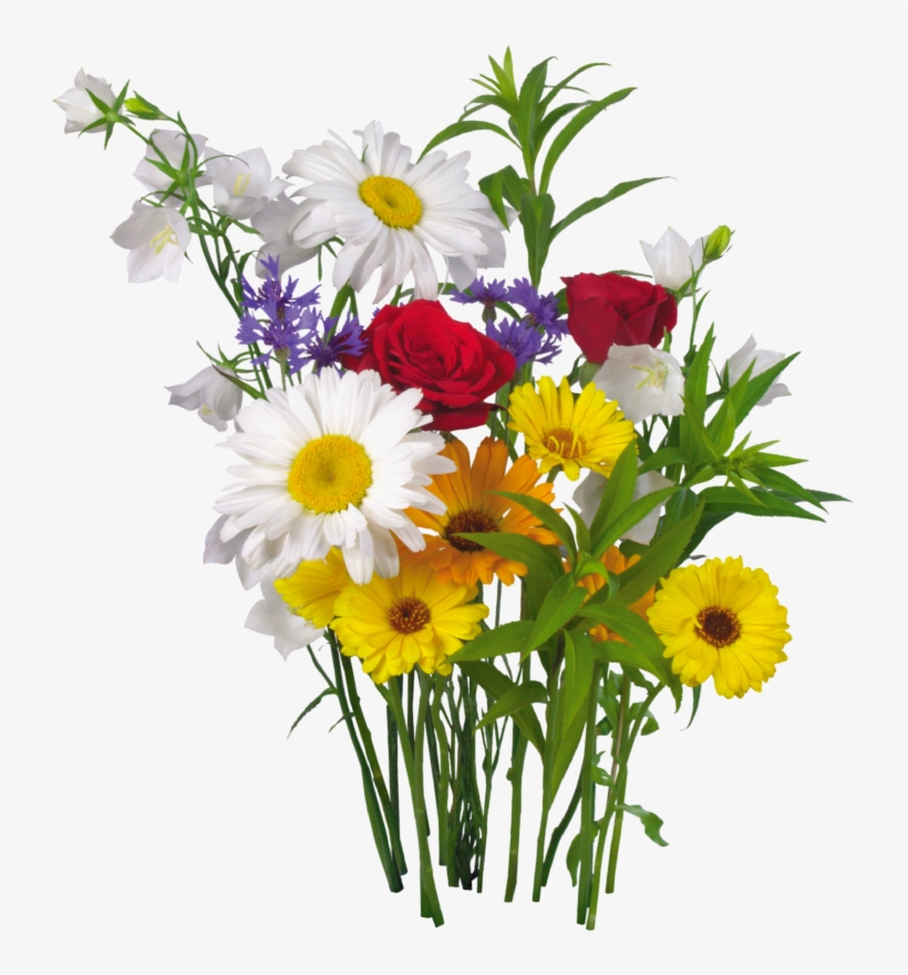 Colorful Flowers And Green Leaves Png Clipart Clipart - День Любви И Верности, transparent png