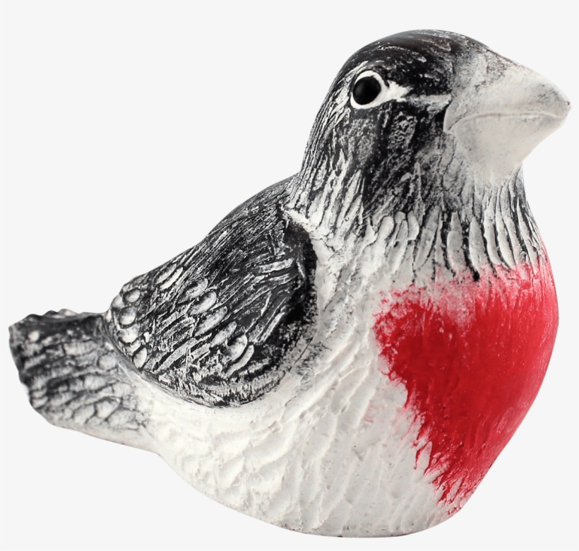 Bursting With Black, White And Rose Red, Male Rose - Rose Breasted Grosbeak, transparent png