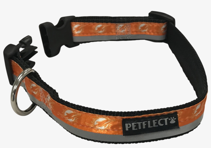 Miami Dolphins Dog Collar - Strap, transparent png