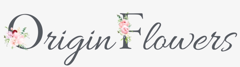 Join Us For A Morning Of Creative Posy Making Using - Garden Roses, transparent png