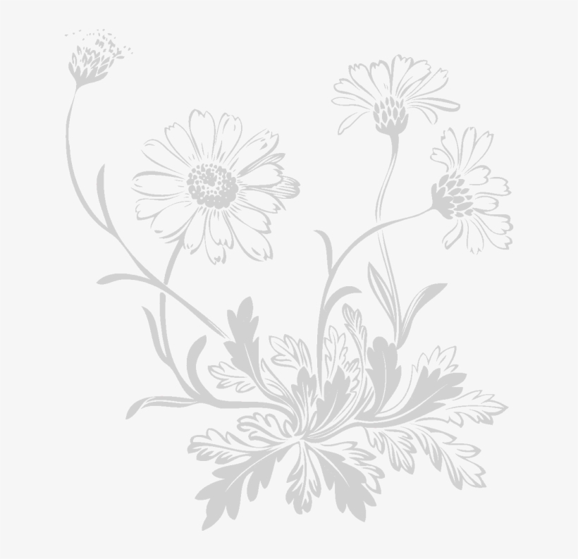 Acne Terminator Fast Action Acne Clear Treatment 1 - Barberton Daisy, transparent png