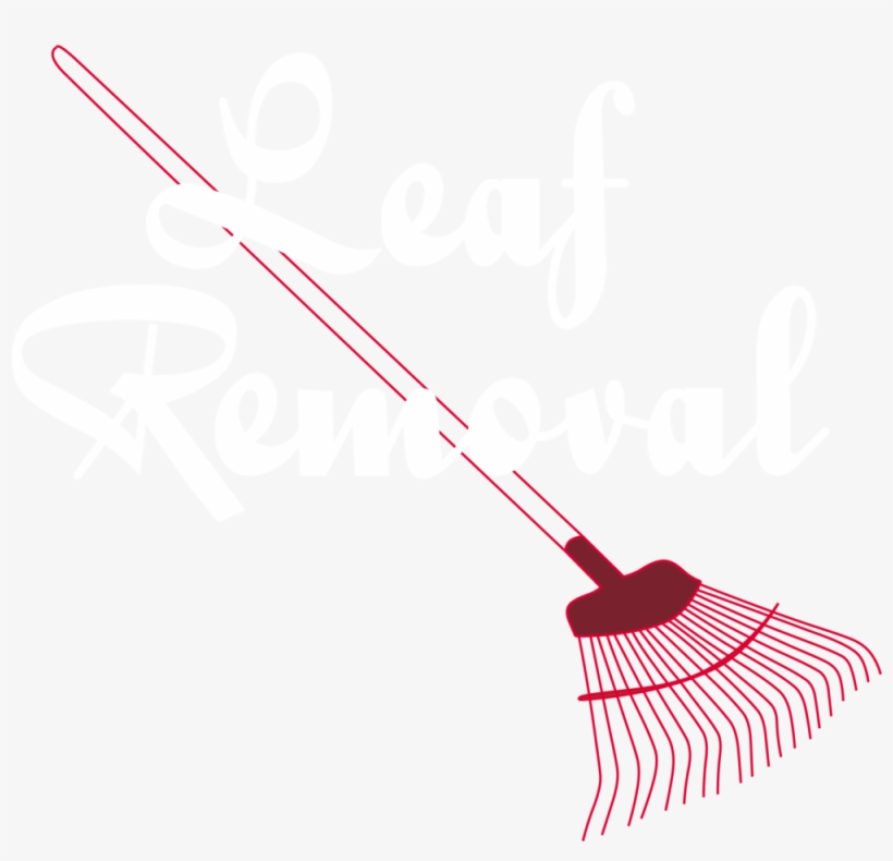Red's Services - Race Card, transparent png